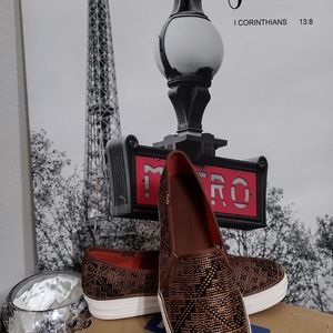 Keds shoes brand new in box NEW SHOES 😎👟 NEW SHOES NEW SHOES NEW SHOES 😎👟